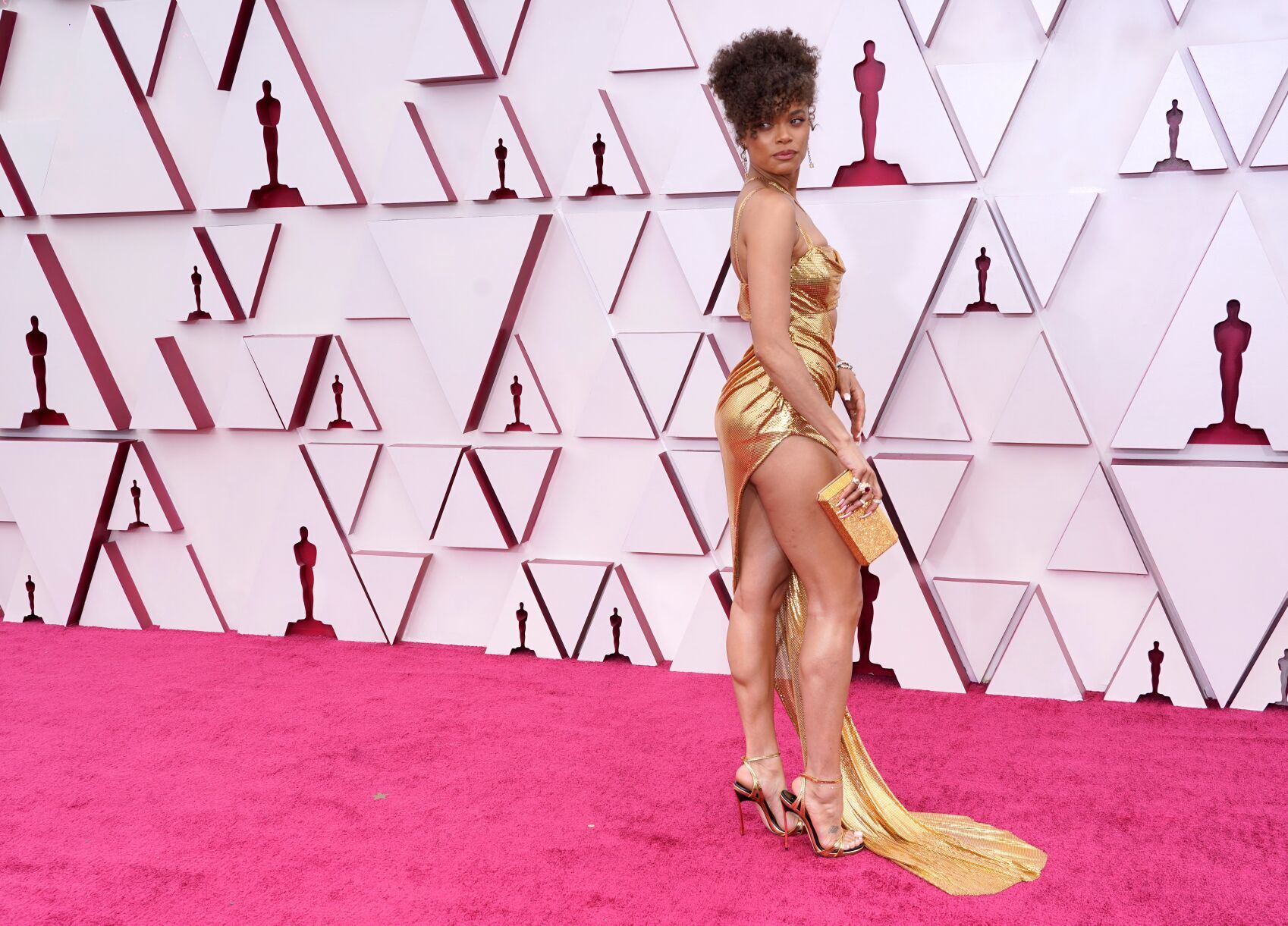 93rd Academy Awards - Arrivals
